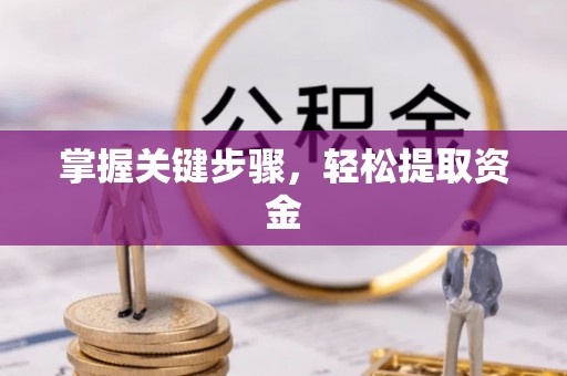 峄城掌握关键步骤，轻松提取资金