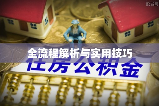 峄城全流程解析与实用技巧